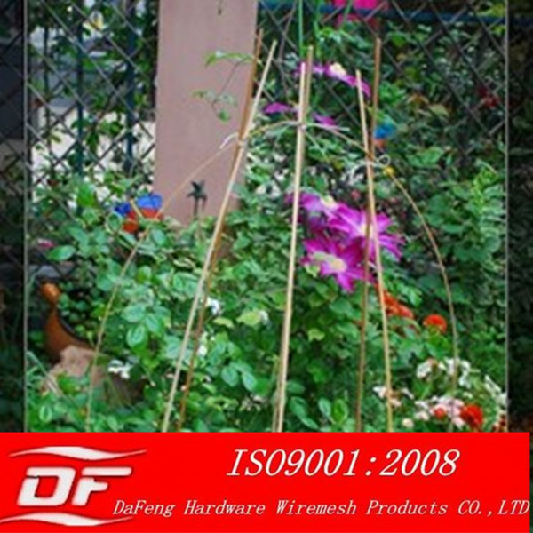 植物ステントネット・トレリスのクライミングネット問屋・仕入れ・卸・卸売り