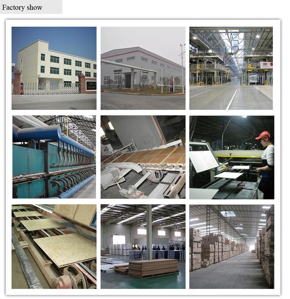 2014 pepper tile factory of wall tile