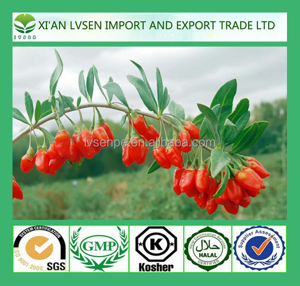 Treating fatigability and Treating high blood fats and diabetes 100% natural goji berry extract
