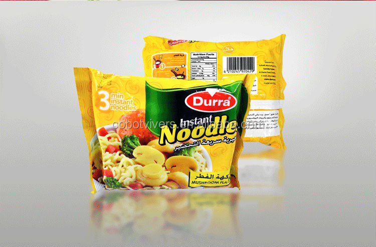 70g lodestar brand instant noodle factory