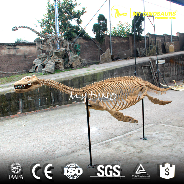animal skeleton1.jpg