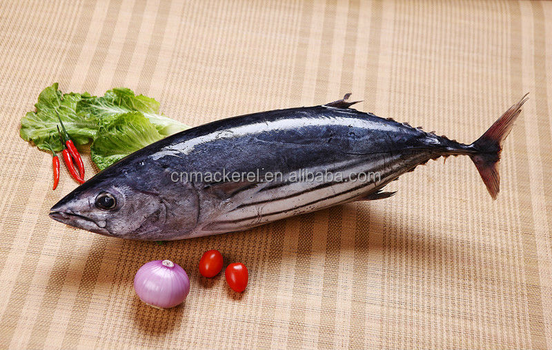 Best Selling Products Precooked Skipjack Tuna Loin /Frozen Tuna Loin