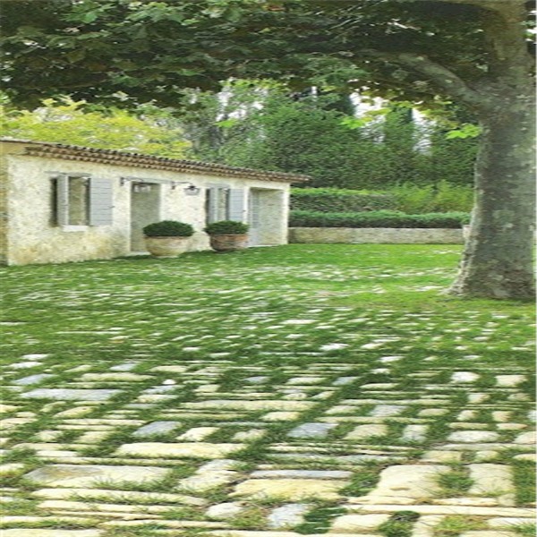 P43.jpg