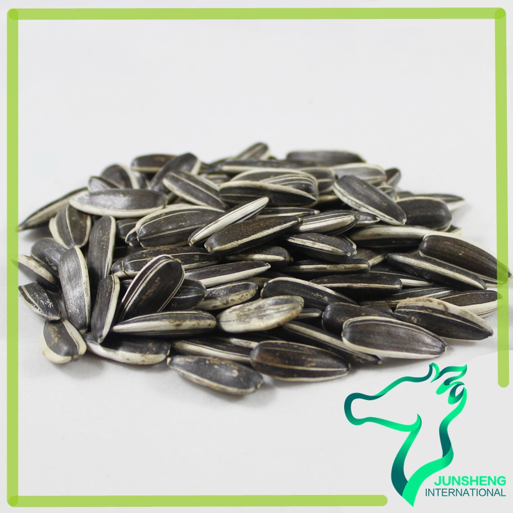 sunflower seeds bulk bird seeds buy high quality sunflower seeds bulk bird seeds buy high quality