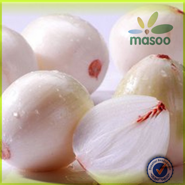 New Crop Chinese High Quality Fresh Onion for Sale / dehydrated onion / granulated onion