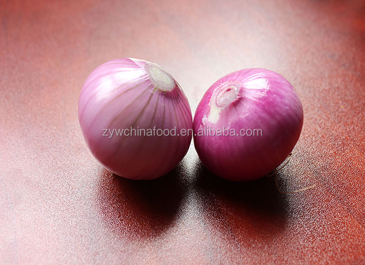 Fresh Onion Red Onion Good Taste For Hot Sale