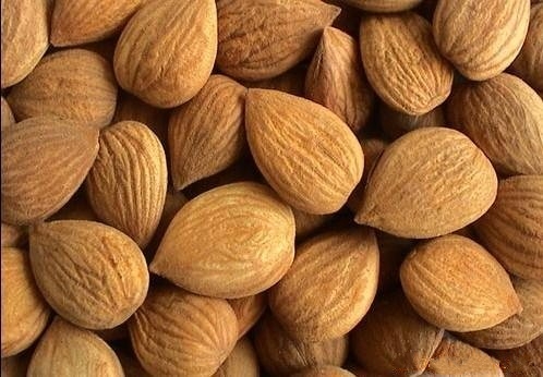 Apricot Kernels