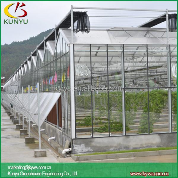Sawtooth Type Greenhouse Glazing Materials Glass Rooftop Greenhouse