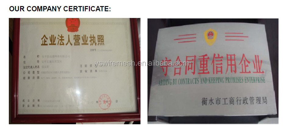 company certificate.jpg