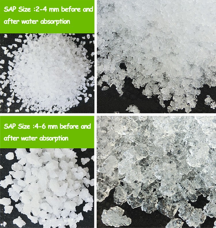 The super absorbent polymer before and after absorbing water