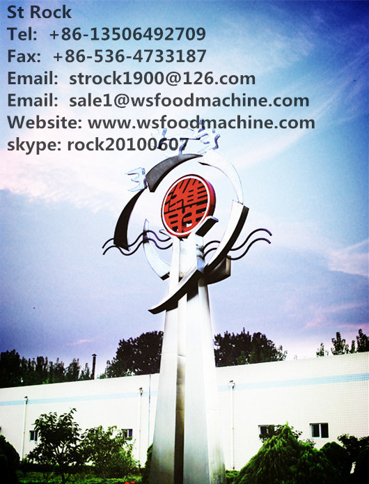 Bean-sprout washing machine I