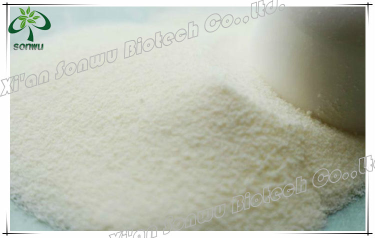 rennet casein protein