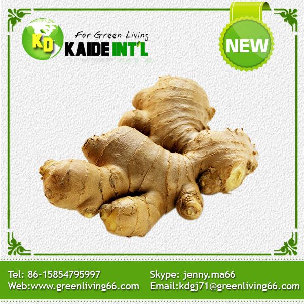 Fresh Ginger Packed In Pvc Box Carton