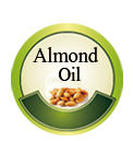 High Quality wheat germ oil vitamin E capsules
