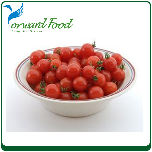400g fresh canned cherry tomato for sale cherry tomatoes price,China