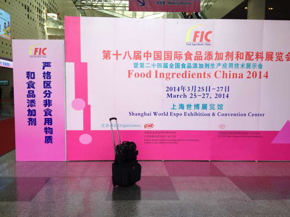 GMP and KoSHER Nutural Proanthocyanidins Grape Seed Extract