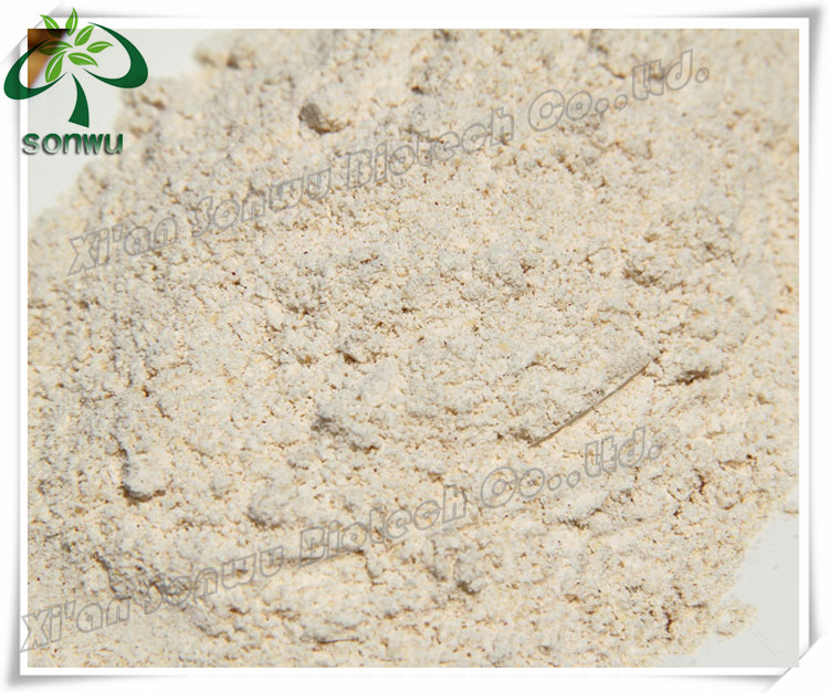 soya protein isolate/9010-10-0
