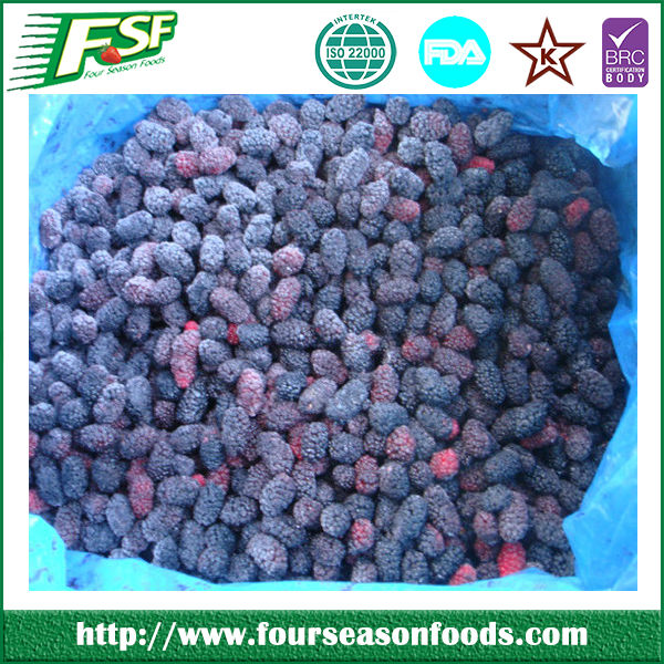2017 new crop fresh frozen mulberries in stock