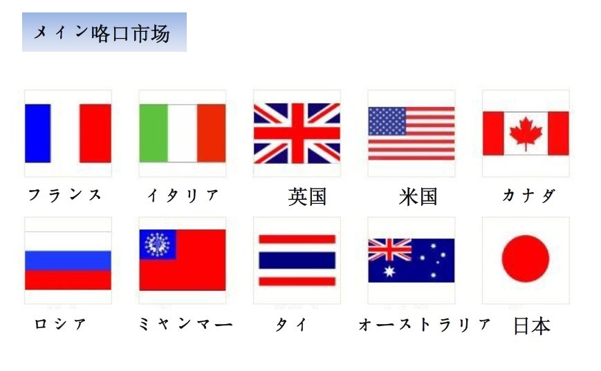組み込み水力マッサージに浸かった問屋・仕入れ・卸・卸売り