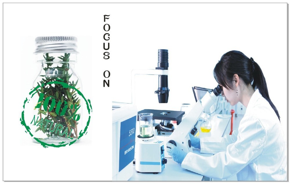 2014 New produced goji berry extract powder