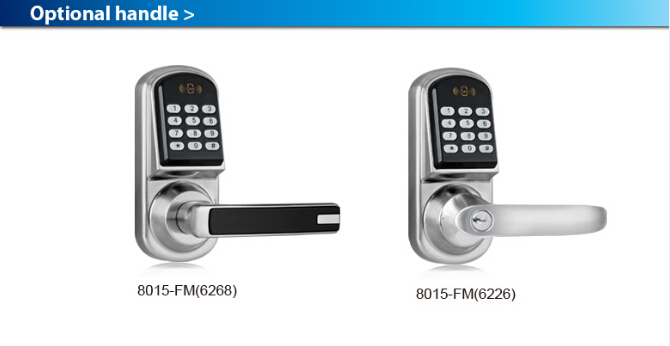 Electrical Lock with Handle P9
