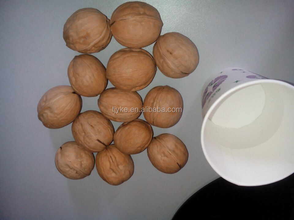 walnut in shell YKE-WS2