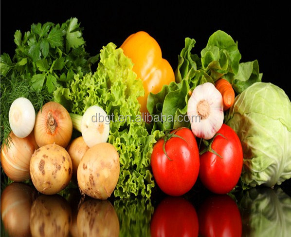 china holland potato wholesale/holland potato export