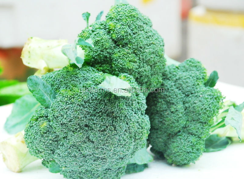2014 new fresh reid farms broccoli for exporting A grade