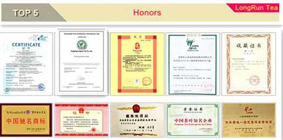 Normal LongRun Convenient in-Cups puer tea