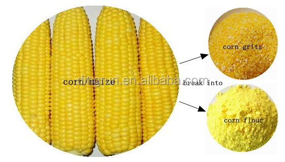 Extruded Corn Curls Snacks Food Making Machinery