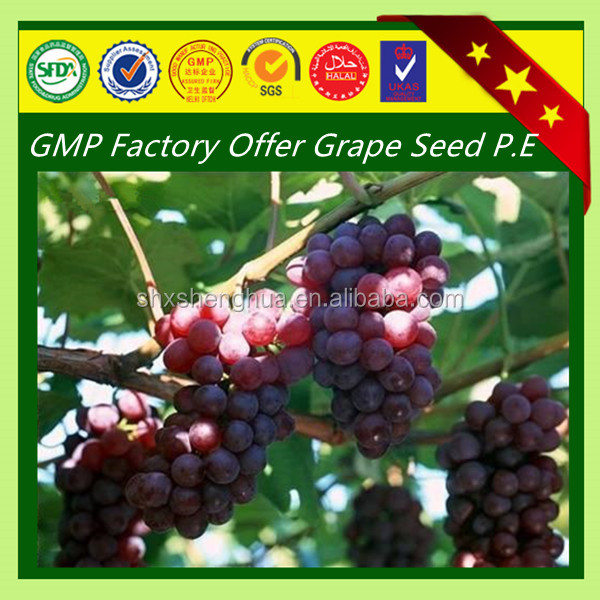 2014 GMP factory organic grape seed extract volcanic powder
