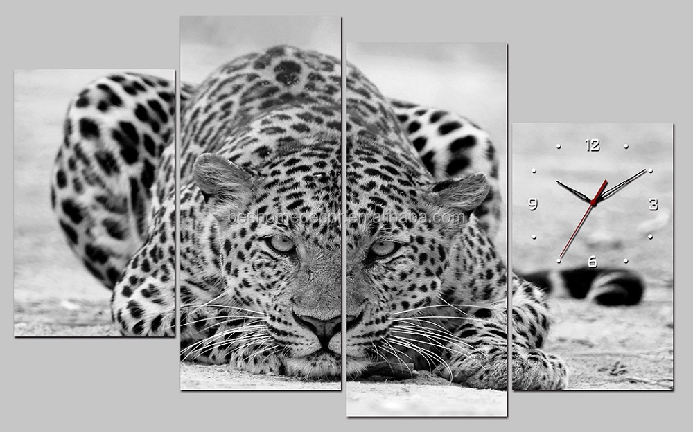 BW25022 50,70.jpg