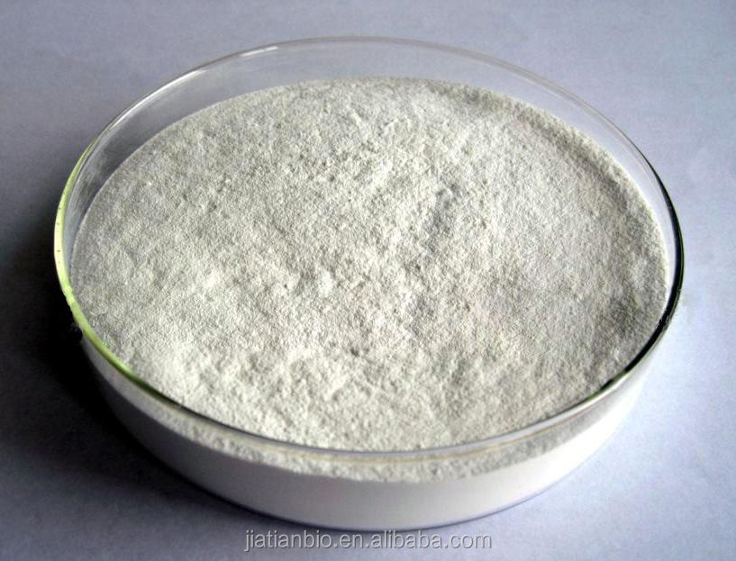 Natural plant cocoa extract P.E. Theobromine