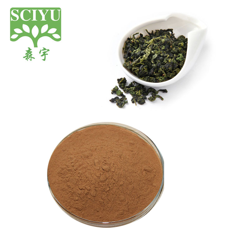 top quality oolong tea extract with competitive price