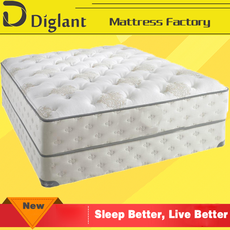 1 Diglant Mattress.jpg