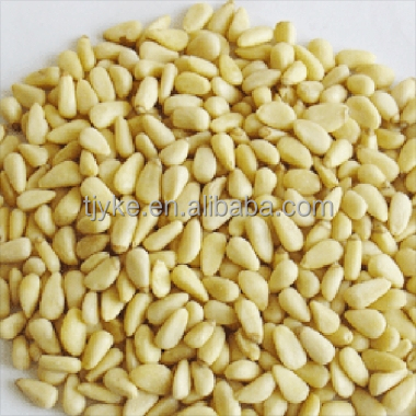Pine nuts kernels