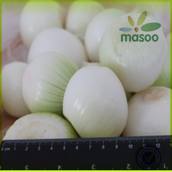 fresh yellow onion packed in mesh bags exporter in China