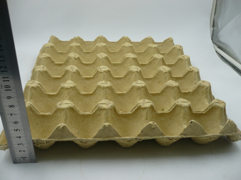 30 Egg Trays/chicken Eggs Tray/egg Holder Tray With 6 Hole 8 Hole12