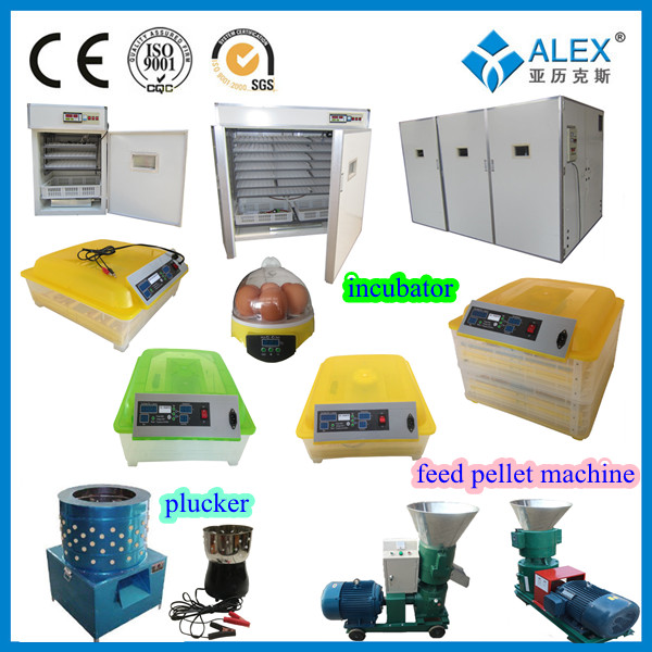 Stainless steel chicken slaughtering equipment chicken feet cleaning equipment