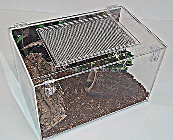 Oem Opdm Custom Transparent Rectangle Acrylic Reptile Display Case 