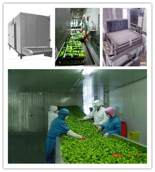 instant freezer/meat/food freezing machine 500kg/h