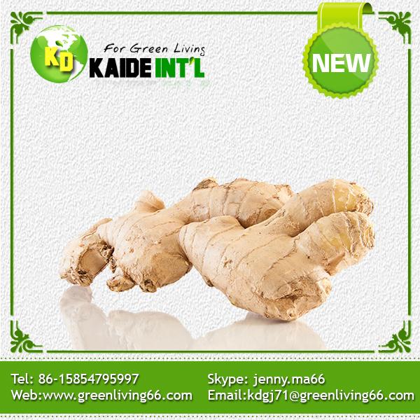 Fresh Ginger--Global Gap Certified