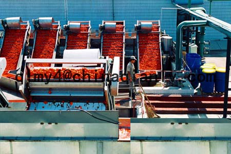 tomato paste making machine