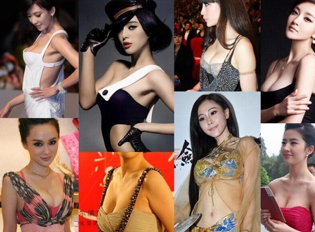 サテン花びらヌード乳房乳首カバーのステッカーラウンドパッチのスパンコールブラジャー仕入れ・メーカー・工場