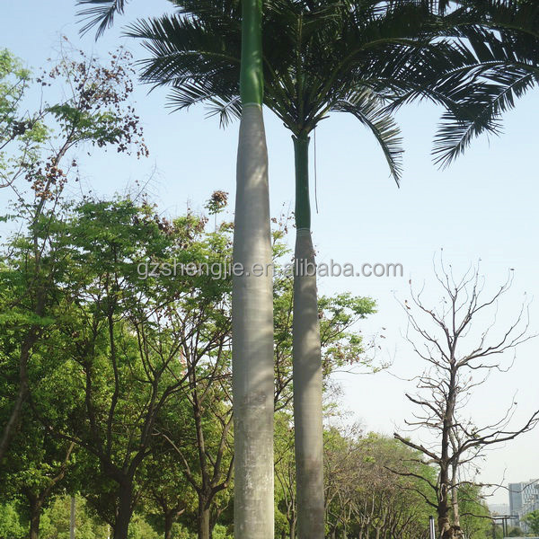 SJAZZY14805 outdoor use decorative coconut tree , large coconut tree