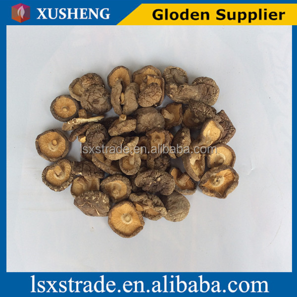 best price shiitake mushroom hot sale (B)