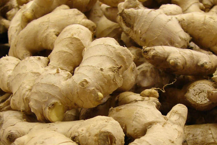 2014 Crop Fresh Ginger with High Quality