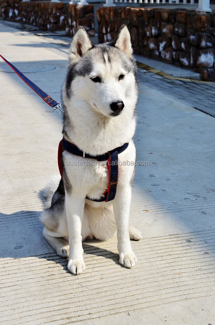 高品質カスタマイズされた工場最高の売り手デニムペット首輪ジャン犬ハーネスとリーシュ仕入れ・メーカー・工場