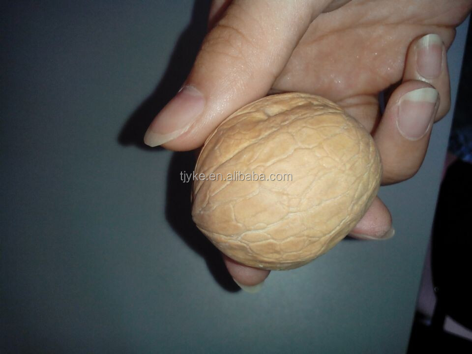 walnut in shell YKE-WS2
