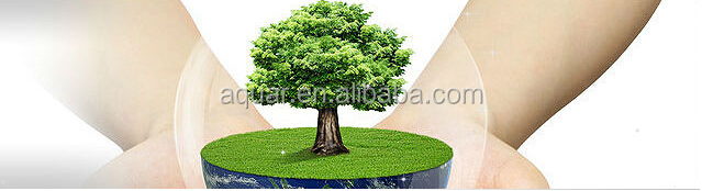2014 New crop bulk IQF Frozen Kiwi Fruit In Kiwi Fruit Season